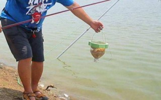 垂釣麥穗魚(yú)的技巧，可從釣底開(kāi)始向上搜索魚(yú)層