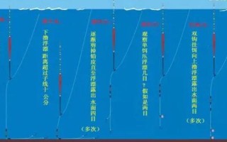 釣鯽魚用什么漂，首先選擇流線型或者棗核型的漂