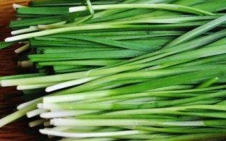 霜降過(guò)后可以在陽(yáng)臺(tái)上種什么蔬菜，可種植白菜、胡蘿卜、大蒜等品種