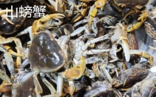 山螃蟹和河蟹的區(qū)別，生長環(huán)境和食用方法均不同