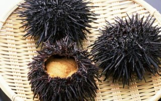 我國(guó)海膽的產(chǎn)地，產(chǎn)地為海南島、大連等沿海地區(qū)
