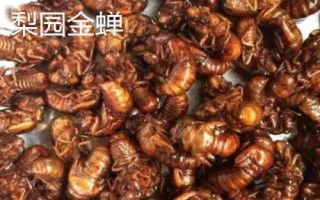 河北趙縣的特產(chǎn)，雪花梨栽培歷史悠久