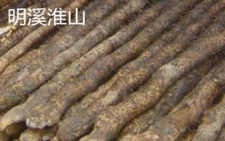 福建省福州市的水果特產有哪些，包括青山龍眼、一都枇杷、福州橄欖等種類