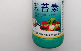 哪種特效藥能解除除草劑的藥害，使用蕓苔素可以緩解、減輕藥害