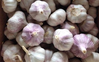 安徽省亳州市的特產(chǎn)，有蘇趙梨、苔干菜等