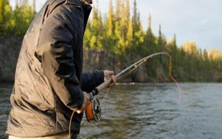 釣黑魚(yú)用什么竿線鉤，可以使用傳統(tǒng)竿、pe線、伊豆鉤等漁具