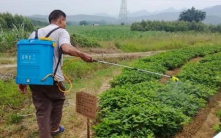 花生中后期常見的四種病害及防治方法，不同病害的防治方法不同