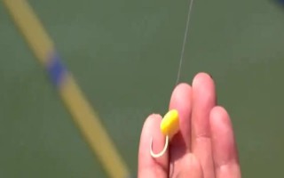 玉米釣魚是釣底還是半水，取決于魚種、釣場、天氣