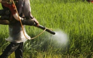 怎么提高微生物農(nóng)藥的藥效，在25-30℃的氣溫下打藥可增強(qiáng)藥效