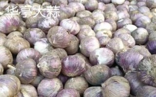 甘肅省酒泉市的特產(chǎn)水果，包括瓜州蜜瓜、瓜州西瓜等種類