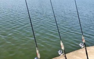 性?xún)r(jià)比高的海竿推薦，看看這十款