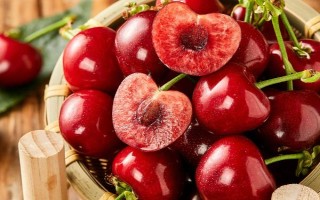 車?yán)遄拥姆N植環(huán)境介紹，可以在每年4-5月份進(jìn)行種植