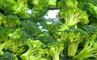 西蘭花能水培種植嗎，不能水培